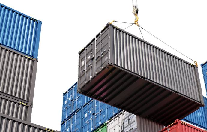 Export & International