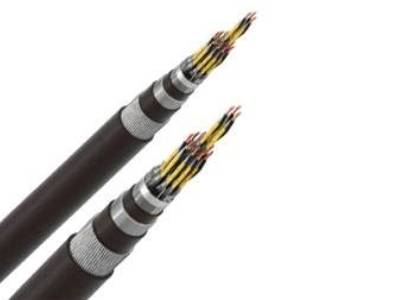 INSTRUMENTATION CABLE